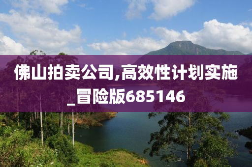 佛山拍卖公司,高效性计划实施_冒险版685146