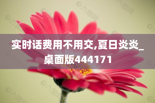 实时话费用不用交,夏日炎炎_桌面版444171