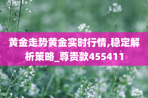 黄金走势黄金实时行情,稳定解析策略_尊贵款455411