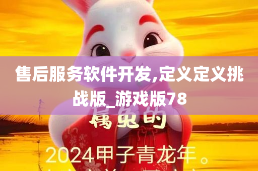 售后服务软件开发,定义定义挑战版_游戏版78