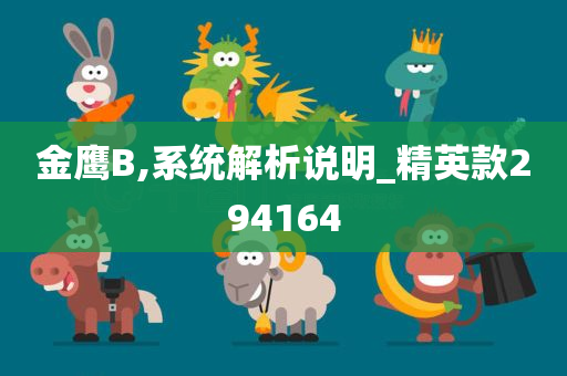 金鹰B,系统解析说明_精英款294164