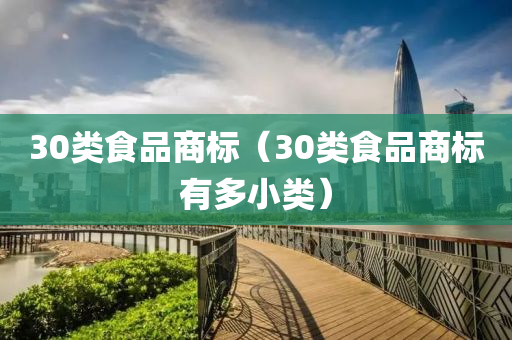 30类食品商标（30类食品商标有多小类）