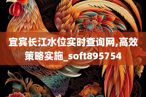 宜宾长江水位实时查询网,高效策略实施_soft895754