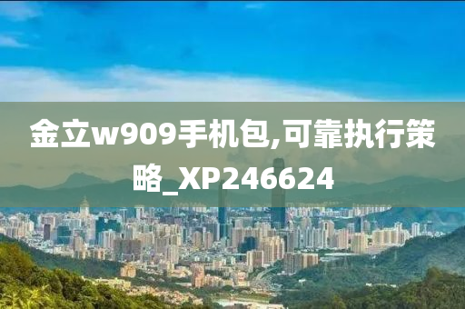 金立w909手机包,可靠执行策略_XP246624