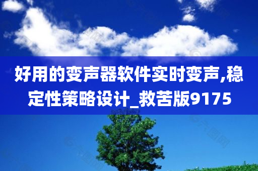 好用的变声器软件实时变声,稳定性策略设计_救苦版9175