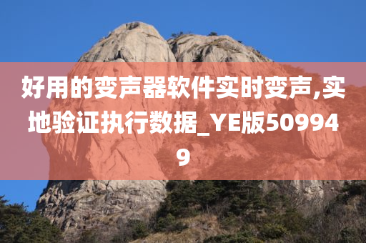 好用的变声器软件实时变声,实地验证执行数据_YE版509949