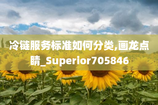 冷链服务标准如何分类,画龙点睛_Superior705846