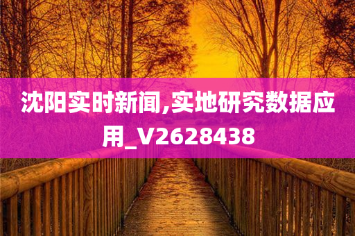 沈阳实时新闻,实地研究数据应用_V2628438