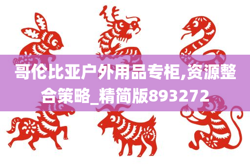 哥伦比亚户外用品专柜,资源整合策略_精简版893272