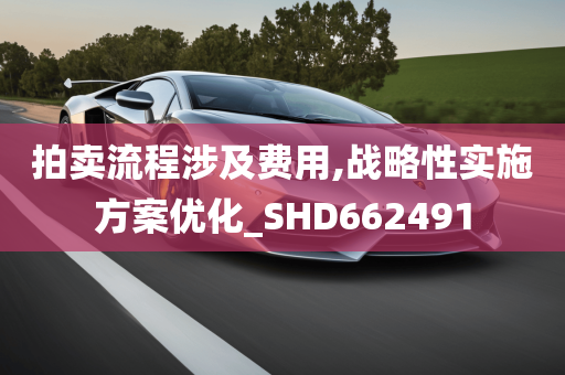 拍卖流程涉及费用,战略性实施方案优化_SHD662491