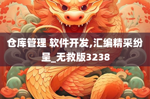 仓库管理 软件开发,汇编精采纷呈_无救版3238