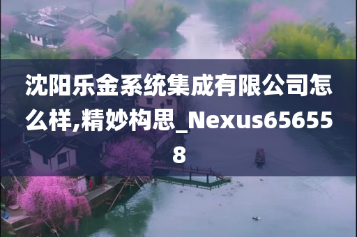 沈阳乐金系统集成有限公司怎么样,精妙构思_Nexus656558