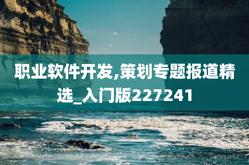 职业软件开发,策划专题报道精选_入门版227241