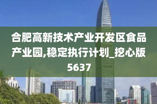 合肥高新技术产业开发区食品产业园,稳定执行计划_挖心版5637