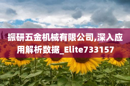 振研五金机械有限公司,深入应用解析数据_Elite733157