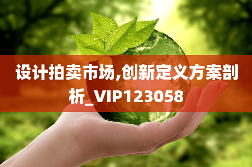 设计拍卖市场,创新定义方案剖析_VIP123058