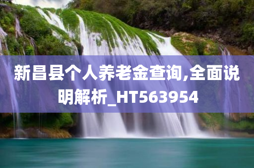 新昌县个人养老金查询,全面说明解析_HT563954