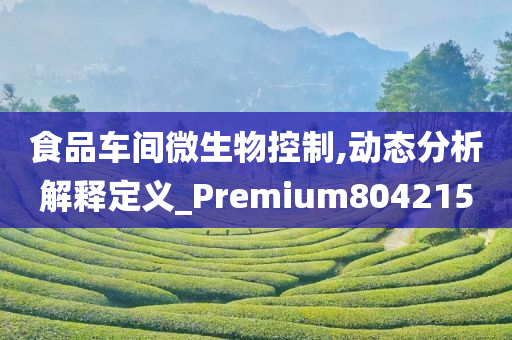 食品车间微生物控制,动态分析解释定义_Premium804215