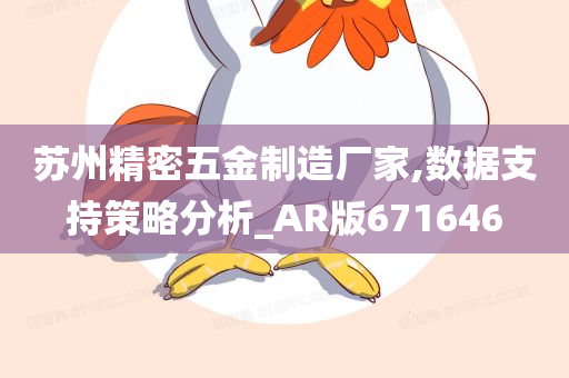 苏州精密五金制造厂家,数据支持策略分析_AR版671646