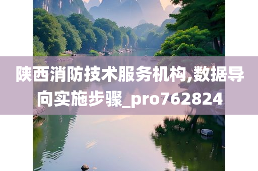 陕西消防技术服务机构,数据导向实施步骤_pro762824