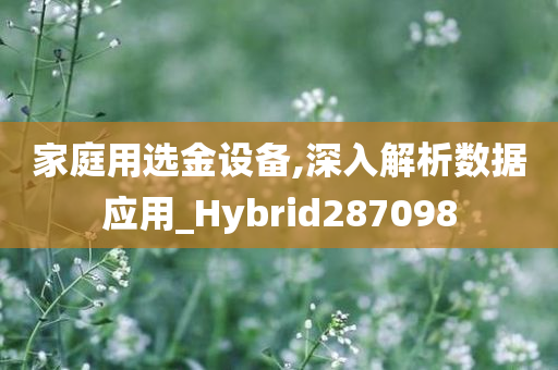 家庭用选金设备,深入解析数据应用_Hybrid287098