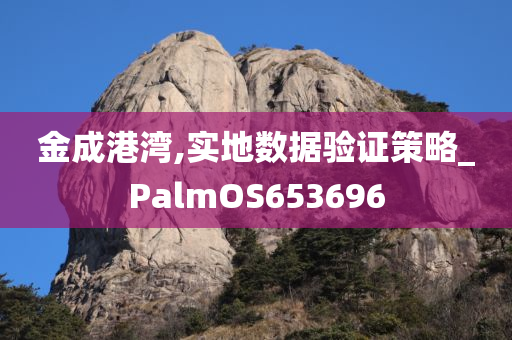 金成港湾,实地数据验证策略_PalmOS653696