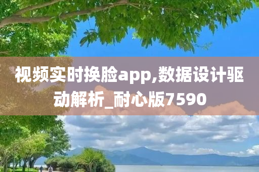 视频实时换脸app,数据设计驱动解析_耐心版7590