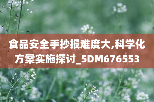 食品安全手抄报难度大,科学化方案实施探讨_5DM676553