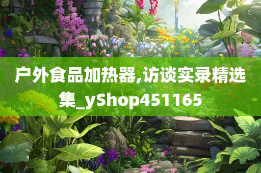 户外食品加热器,访谈实录精选集_yShop451165