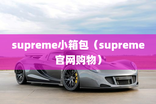 supreme小箱包（supreme官网购物）