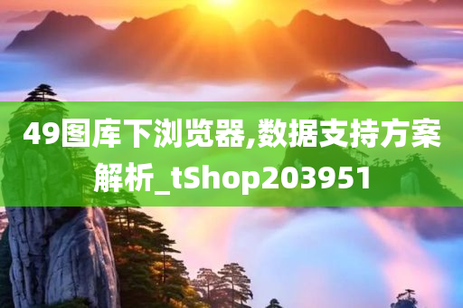 49图库下浏览器,数据支持方案解析_tShop203951