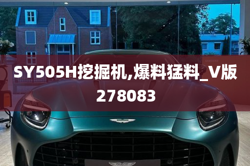 SY505H挖掘机,爆料猛料_V版278083