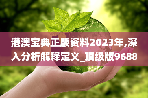 港澳宝典正版资料2023年,深入分析解释定义_顶级版9688