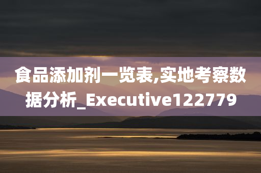 食品添加剂一览表,实地考察数据分析_Executive122779