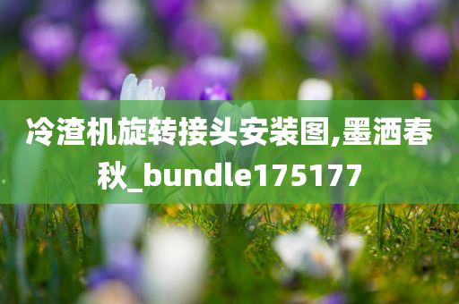 冷渣机旋转接头安装图,墨洒春秋_bundle175177