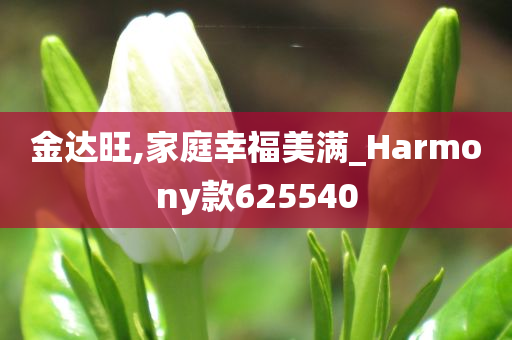 金达旺,家庭幸福美满_Harmony款625540