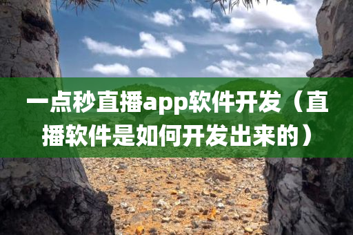 一点秒直播app软件开发（直播软件是如何开发出来的）