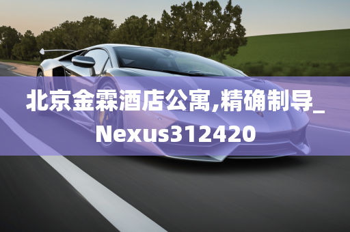 北京金霖酒店公寓,精确制导_Nexus312420