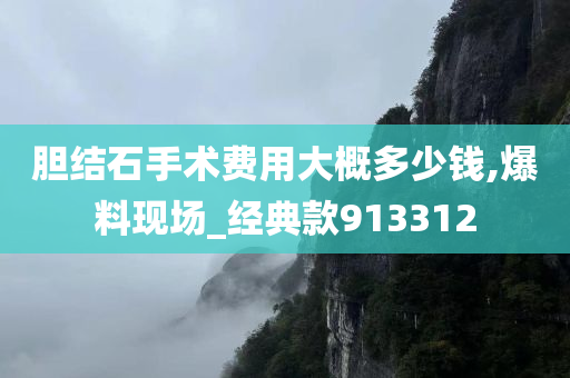 胆结石手术费用大概多少钱,爆料现场_经典款913312