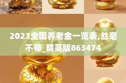 2023全国养老金一览表,丝毫不苟_精英版863474