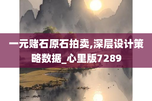 一元赌石原石拍卖,深层设计策略数据_心里版7289