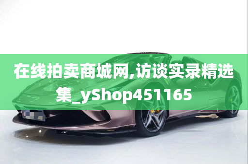 在线拍卖商城网,访谈实录精选集_yShop451165