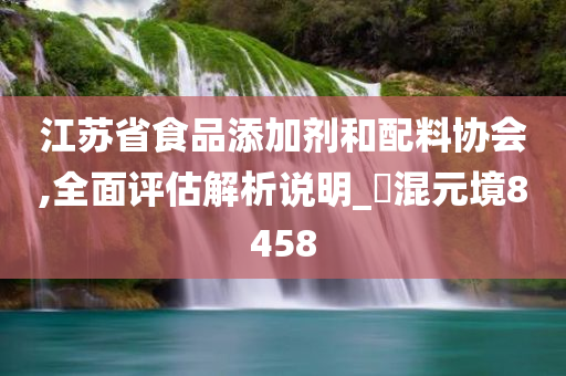 江苏省食品添加剂和配料协会,全面评估解析说明_‌混元境8458