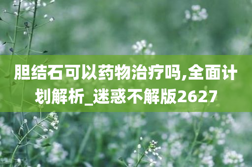 胆结石可以药物治疗吗,全面计划解析_迷惑不解版2627