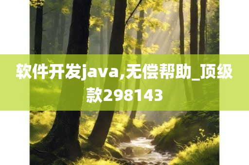 软件开发java,无偿帮助_顶级款298143