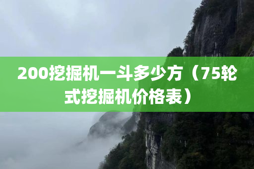 200挖掘机一斗多少方（75轮式挖掘机价格表）