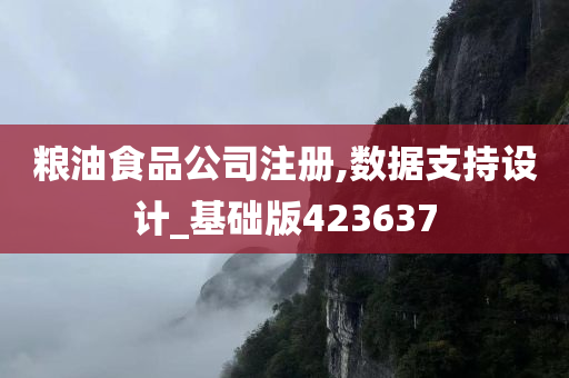 粮油食品公司注册,数据支持设计_基础版423637