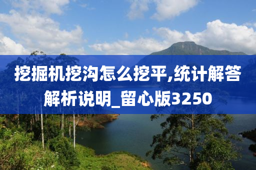 挖掘机挖沟怎么挖平,统计解答解析说明_留心版3250