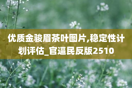 优质金骏眉茶叶图片,稳定性计划评估_官逼民反版2510