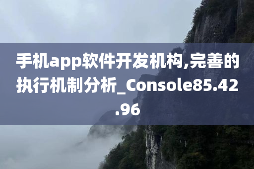 手机app软件开发机构,完善的执行机制分析_Console85.42.96